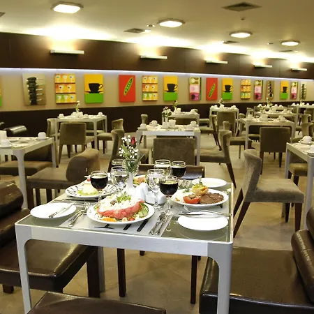 Nippon Hotel Istanbulská provincie